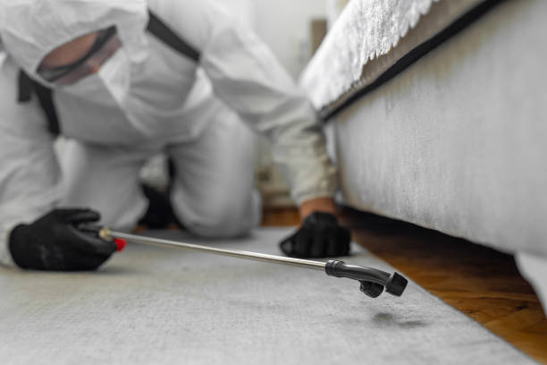 Professional Bed Bug Control technician working in Wind Lake, WI